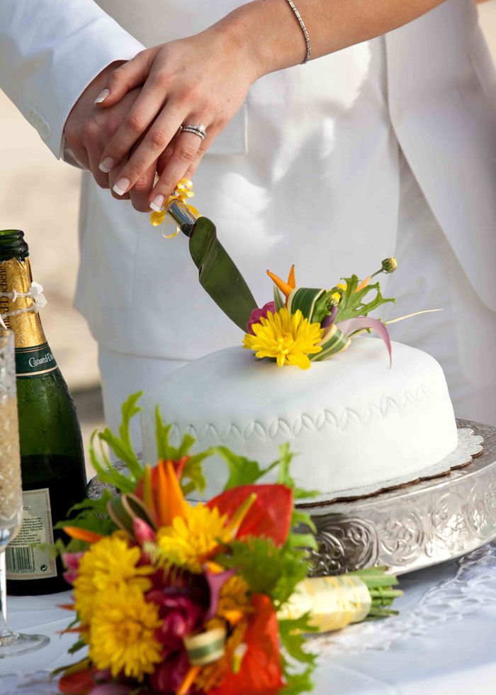 bride-groom-caribbean-wedding-cake