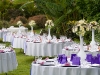 caribbean-wedding-decor-11