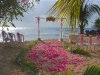 caribbean-beach-wedding-aisle