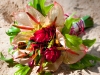 caribbean-wedding-flower-beach