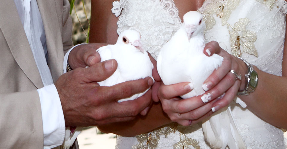 Caribbean Wedding - White Doves